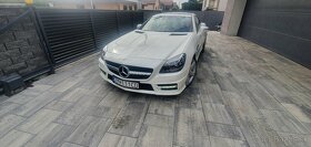 Predam Mercedes benz Slk250cdi - 9