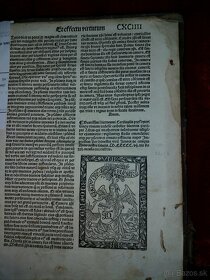 INKUNABULA Diui Hieronimi in Vitaspatru[m] 1507 - 9