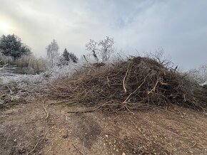 Darujem palivové drevo a drevo vhodné na štiepku - 9